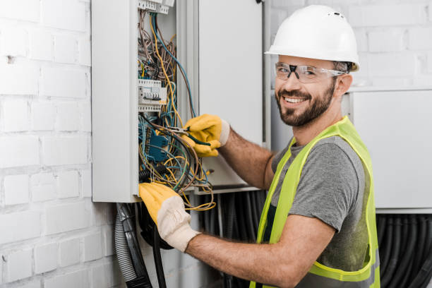 Best Electrical System Inspection  in Dogtown, CA