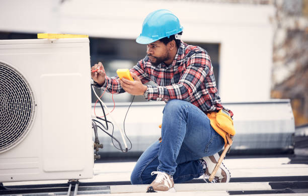Best Local Electrician Companies  in Dogtown, CA