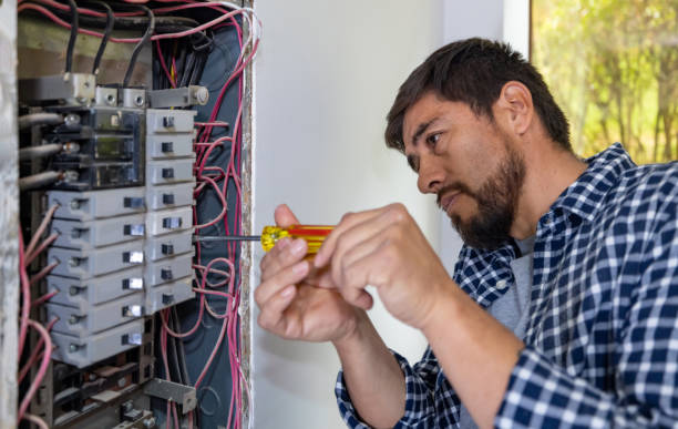 Best Electric Panel Repair  in Dogtown, CA